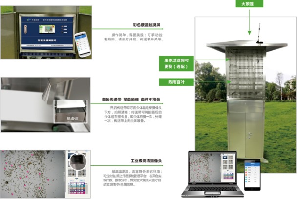 托普云農(nóng)蟲情測報(bào)燈對(duì)害蟲的識(shí)別分析