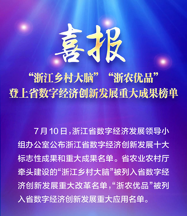 喜報(bào)！“浙江鄉(xiāng)村大腦”登上省數(shù)字經(jīng)濟(jì)創(chuàng)新發(fā)展重大成果榜單