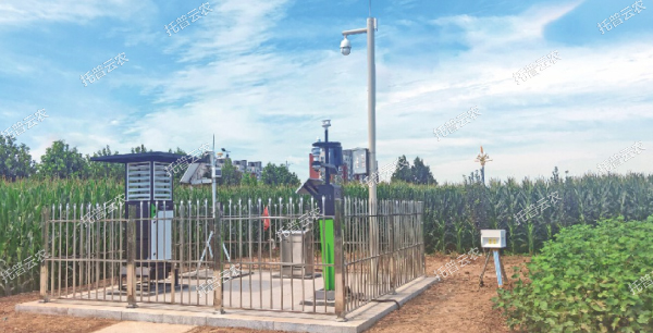 實(shí)時(shí)采集制種基地農(nóng)情、墑情、病情、蟲情數(shù)據(jù)信息